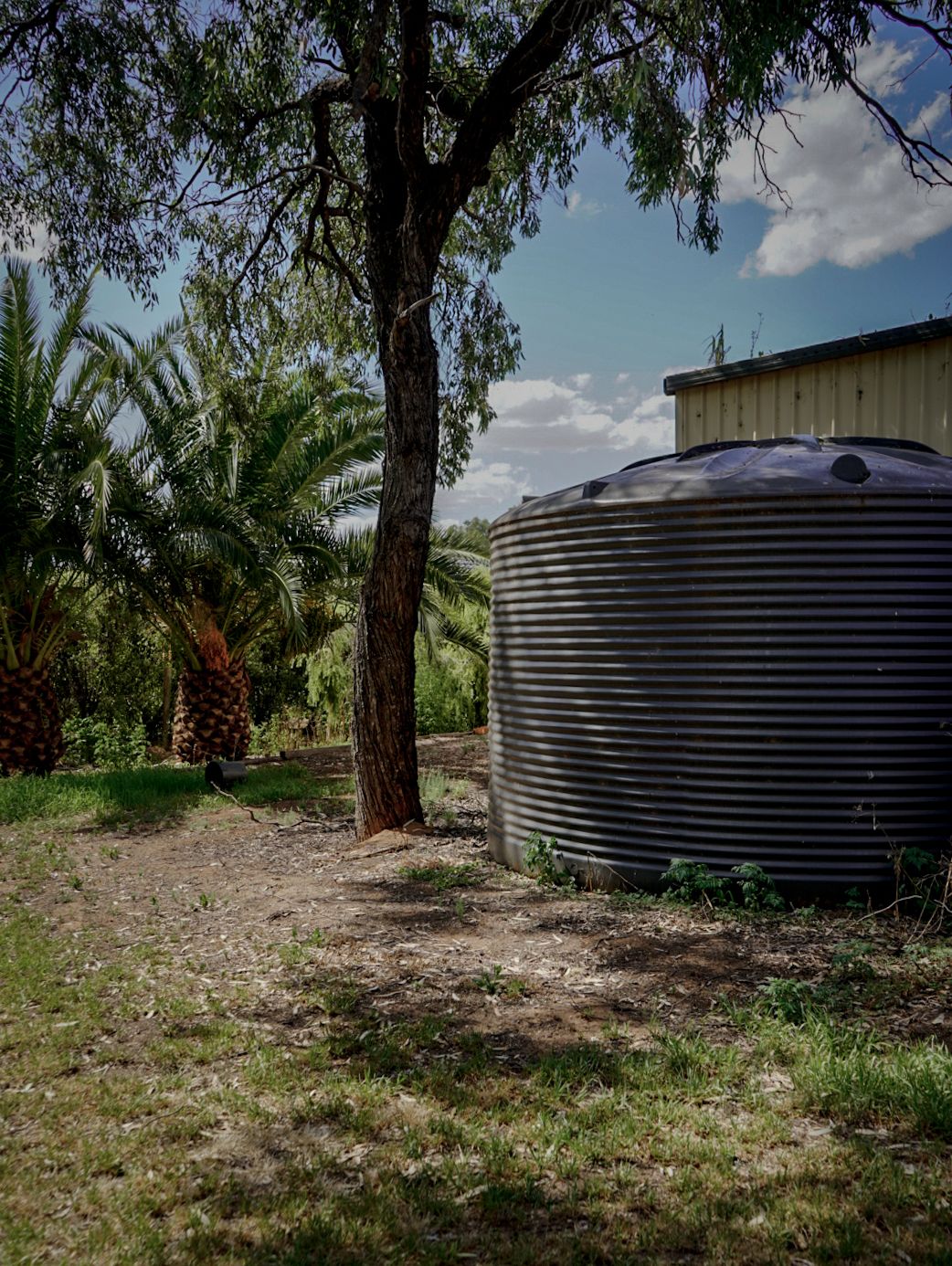 22,500ltr Round Poly Water Tank in monument colour installed in a backyard behind a shed